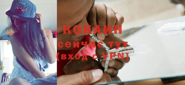 гашик Арсеньев