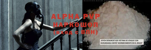 гашик Арсеньев