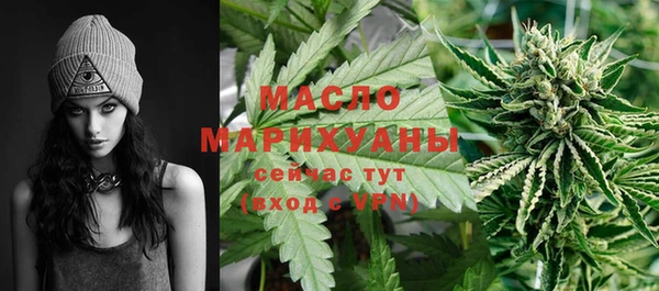 гашик Арсеньев