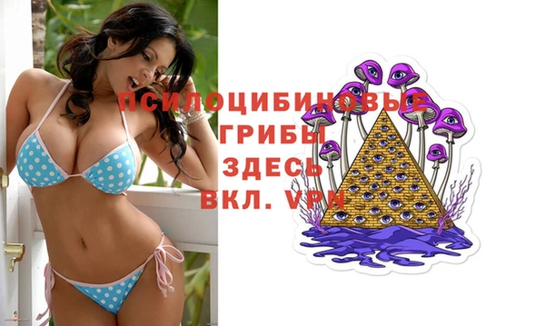 2c-b Аркадак