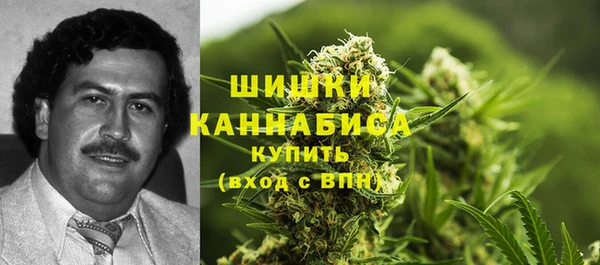 гашик Арсеньев