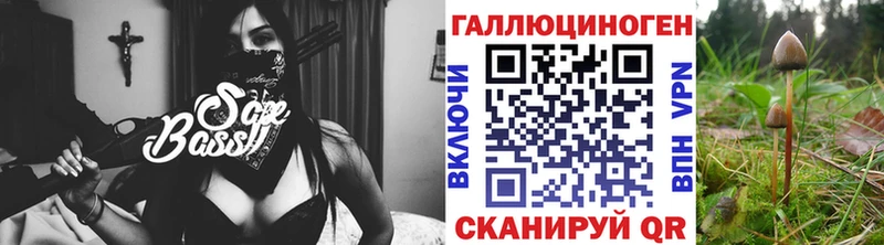 ОМГ ОМГ ССЫЛКА  Сегежа  Псилоцибиновые грибы Psilocybine cubensis 
